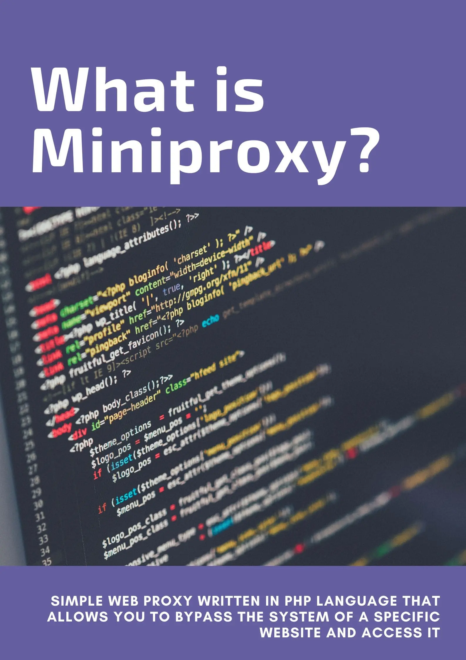 What is Miniproxy