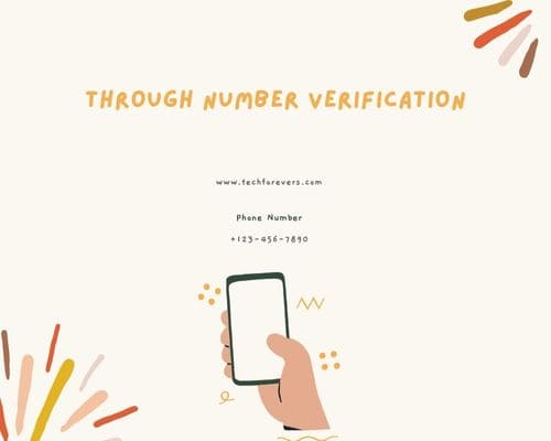 Through Number Verification