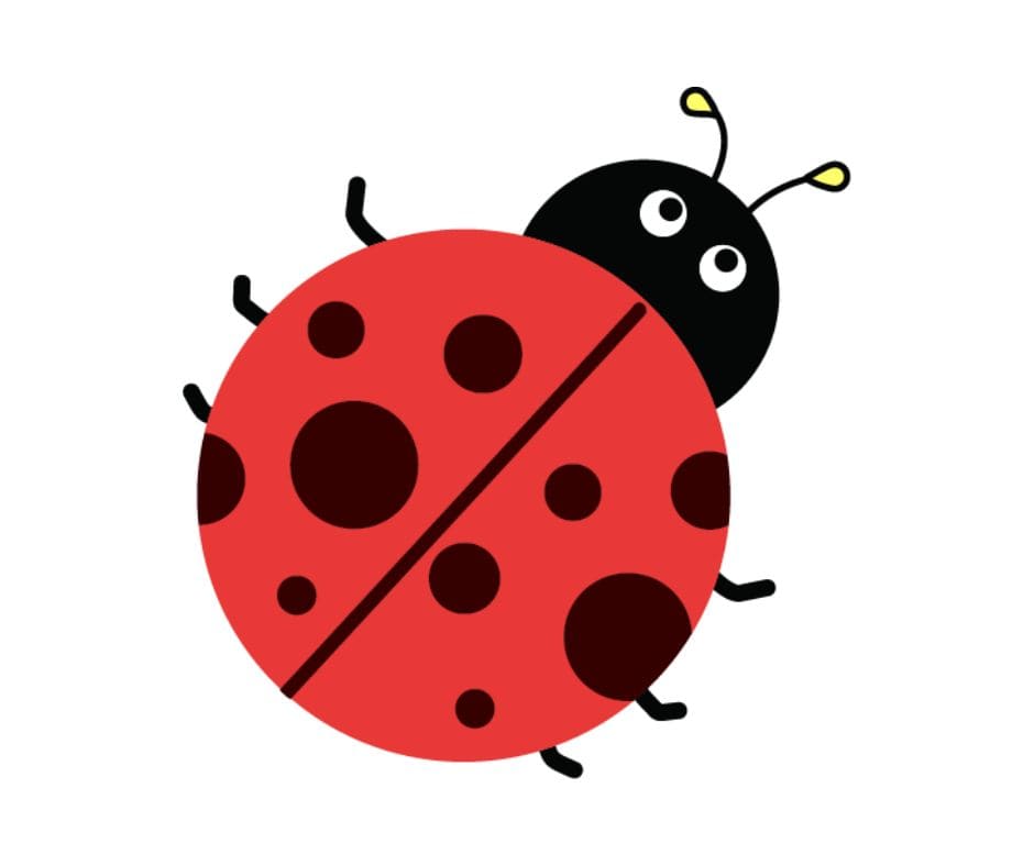 App Bugs